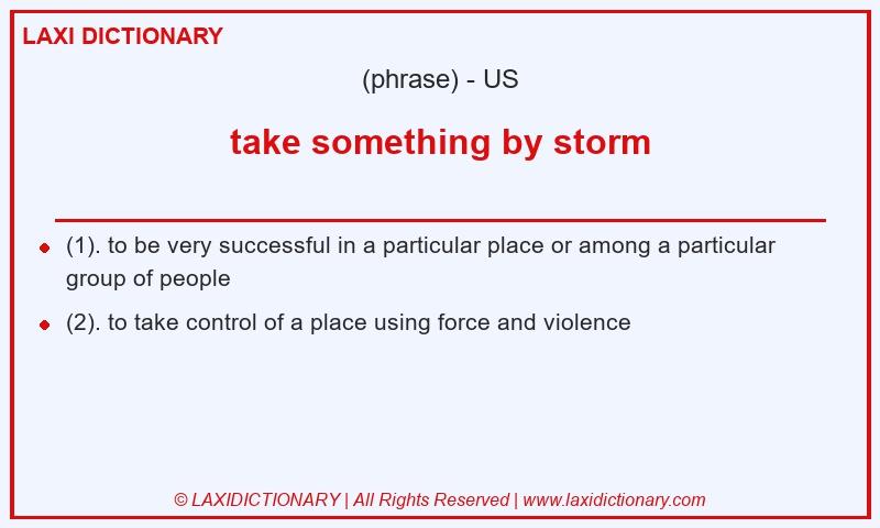 Definition take something by storm in American English
