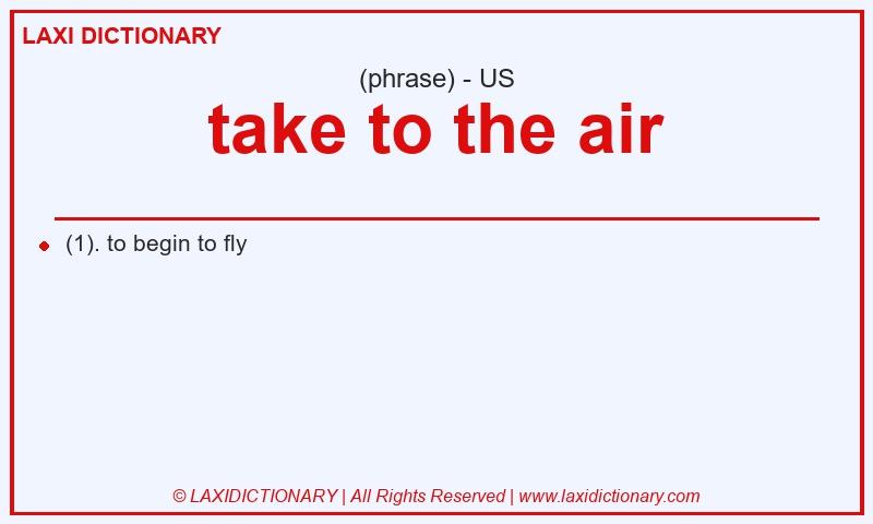 Definition take to the air in American English