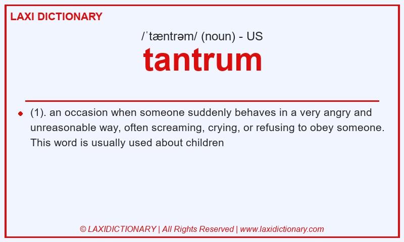 Definition tantrum in American English