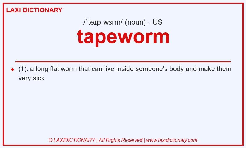 Definition tapeworm in American English