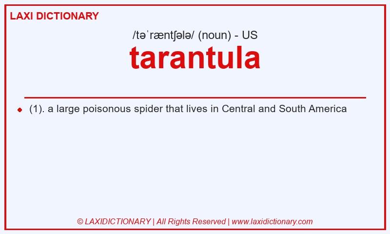 Definition tarantula in American English