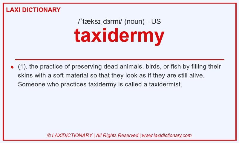Definition taxidermy in American English