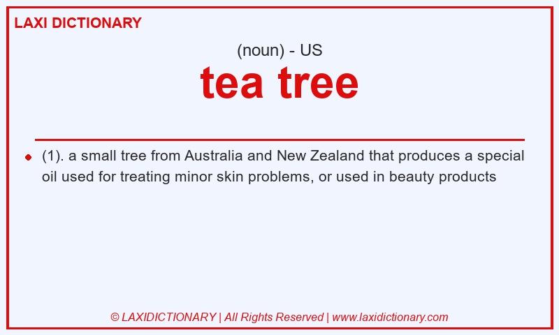 Definition tea tree in American English