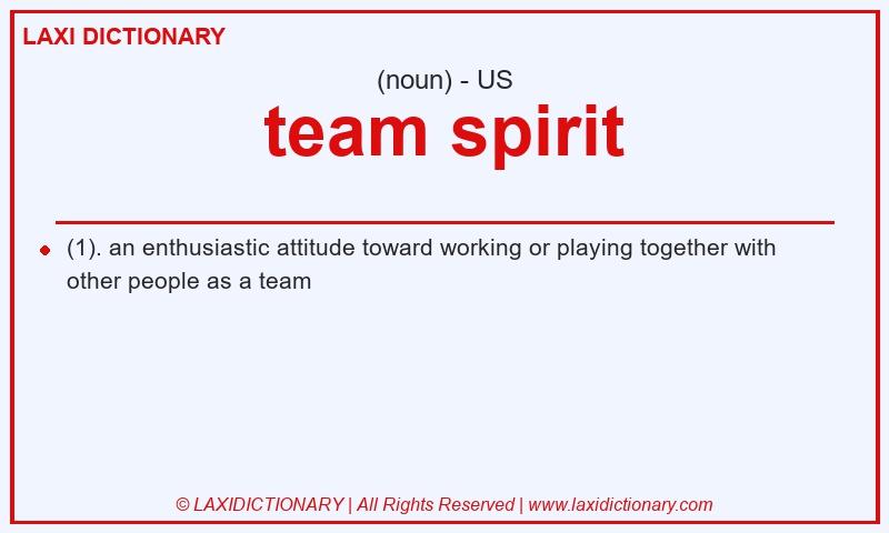 Definition team spirit in American English