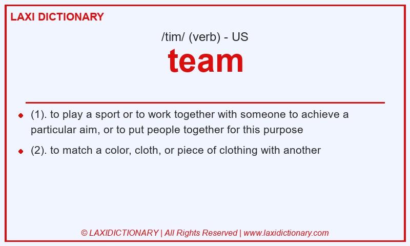 Definition team in American English