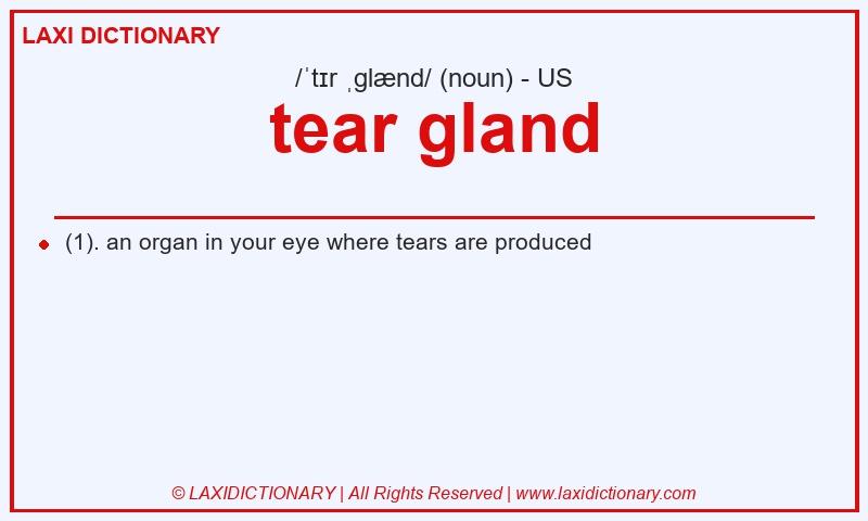 Definition tear gland in American English