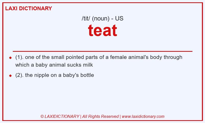 Definition teat in American English