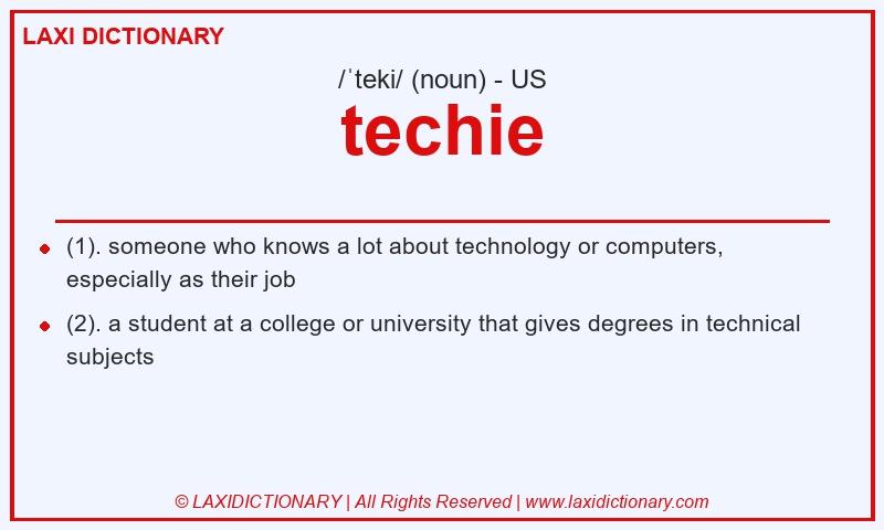 Definition techie in American English