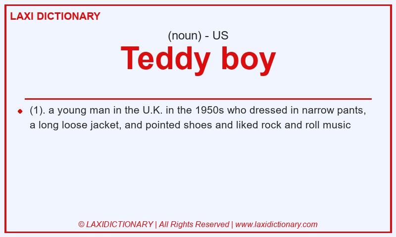 Definition Teddy boy in American English