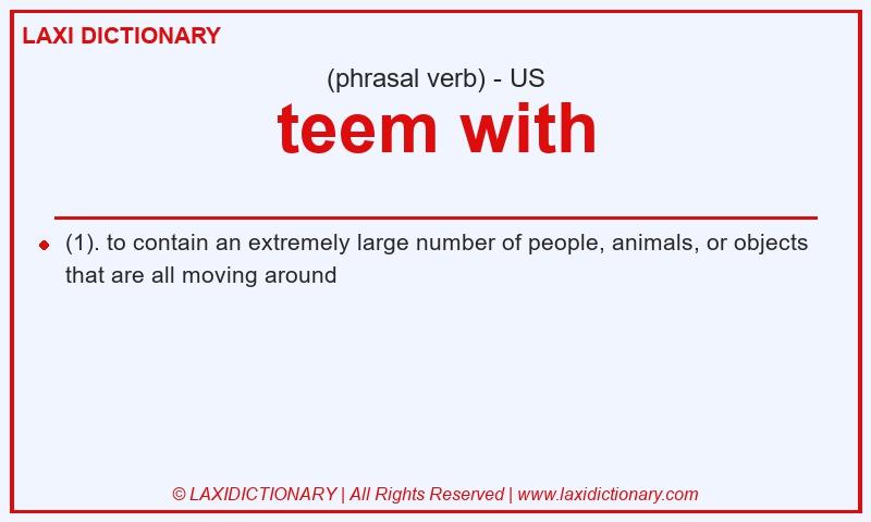 Definition teem with in American English