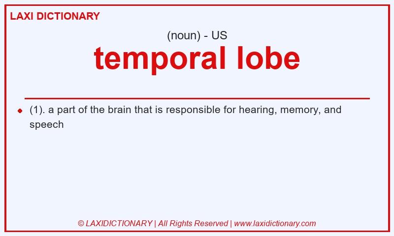 Definition temporal lobe in American English