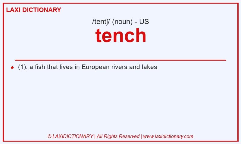 Definition tench in American English