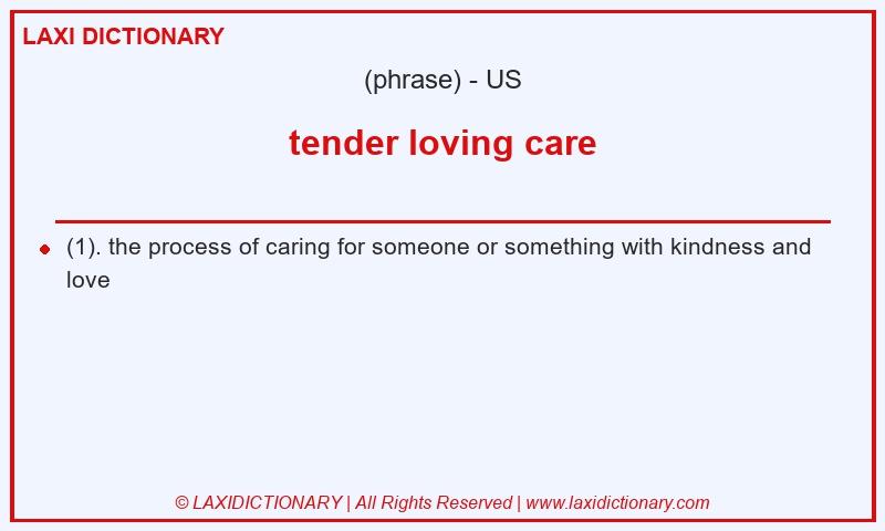 Definition tender loving care in American English