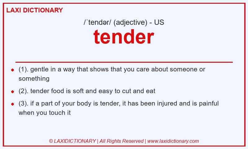 Definition tender in American English