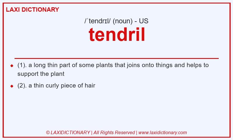 Definition tendril in American English