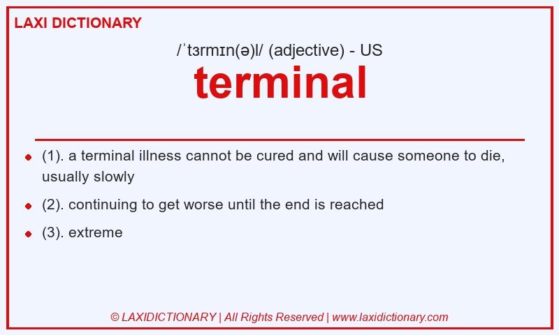 Definition terminal in American English
