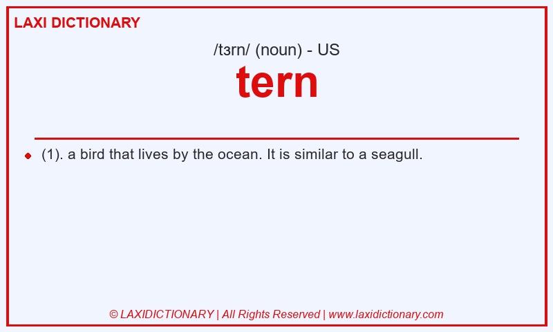 Definition tern in American English