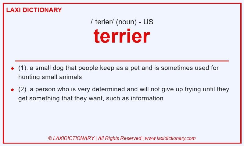 Definition terrier in American English