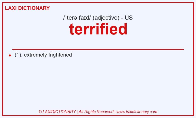 Definition terrified in American English