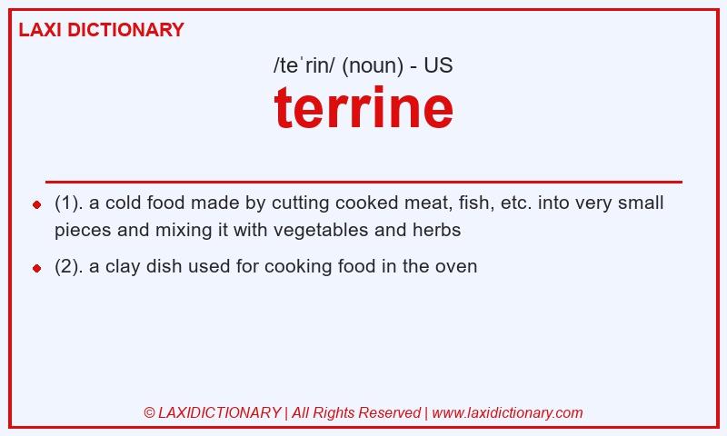 Definition terrine in American English