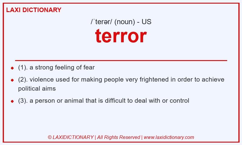 Definition terror in American English