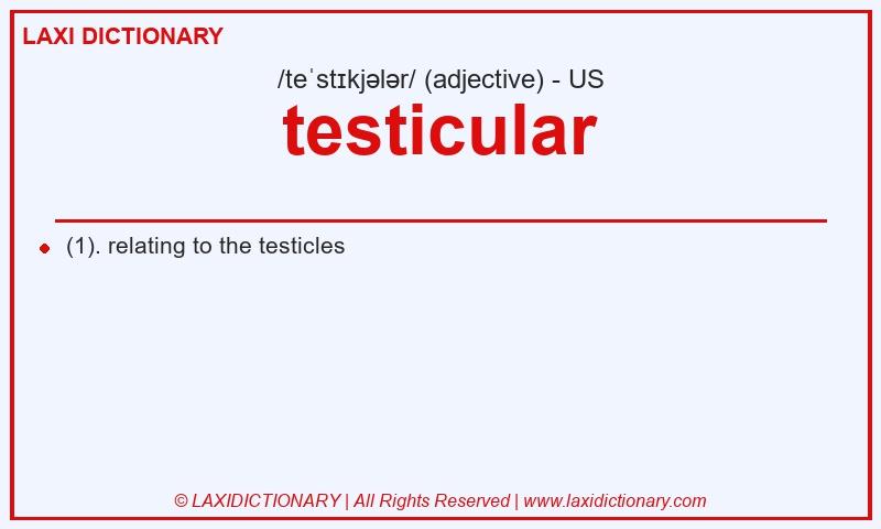 Definition testicular in American English