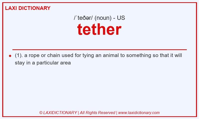 Definition tether in American English