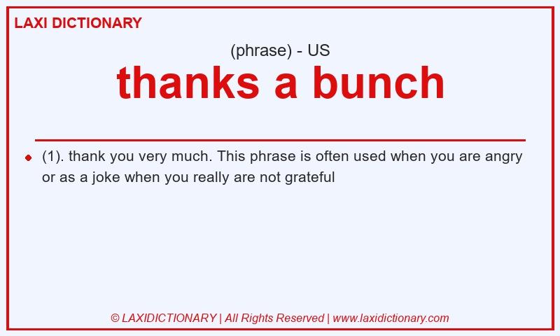 Definition thanks a bunch in American English