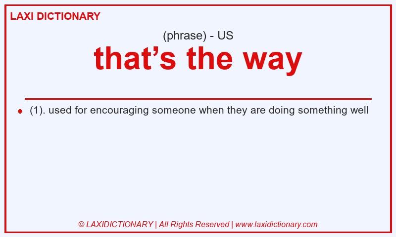 Definition that’s the way in American English