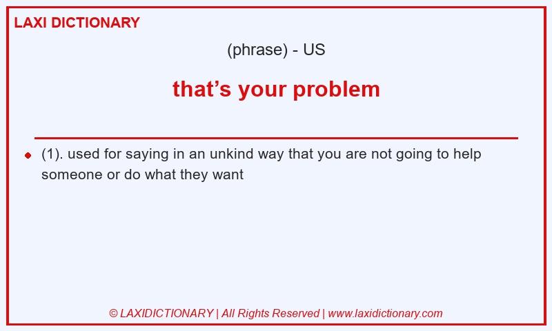 Definition that’s your problem in American English