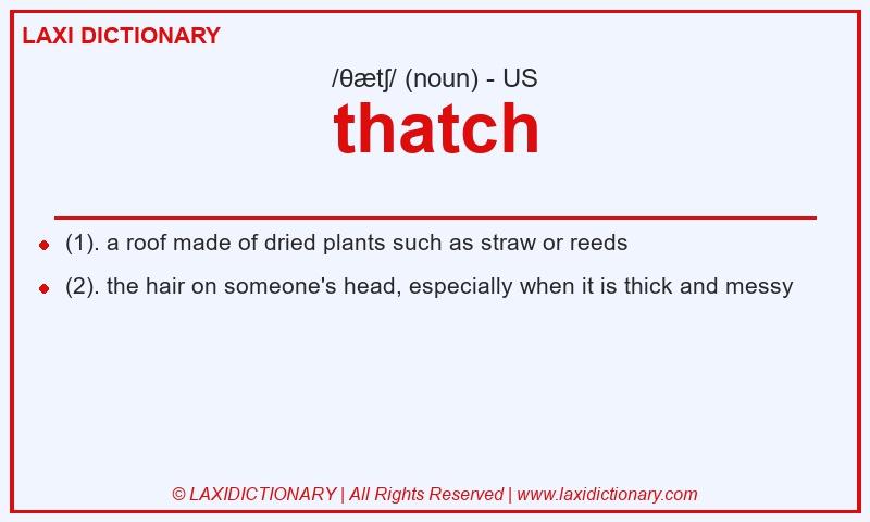 Definition thatch in American English