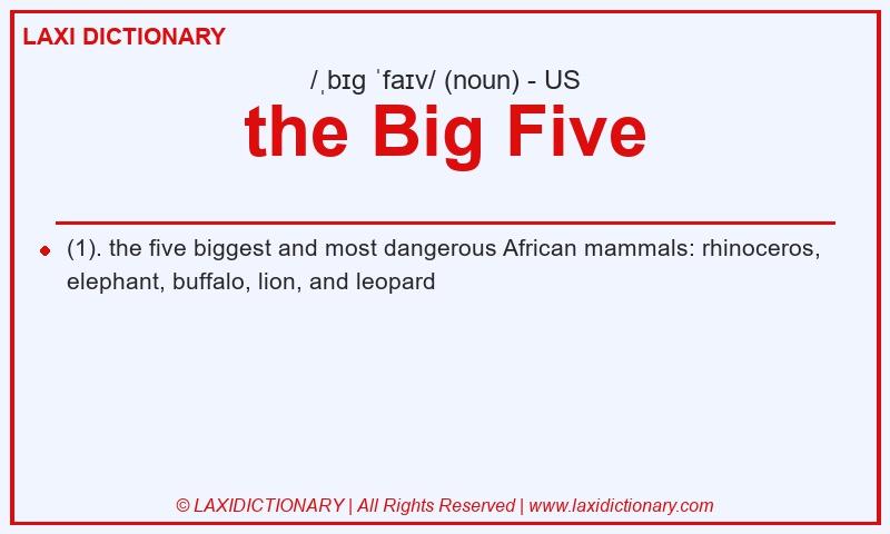 Definition the Big Five in American English