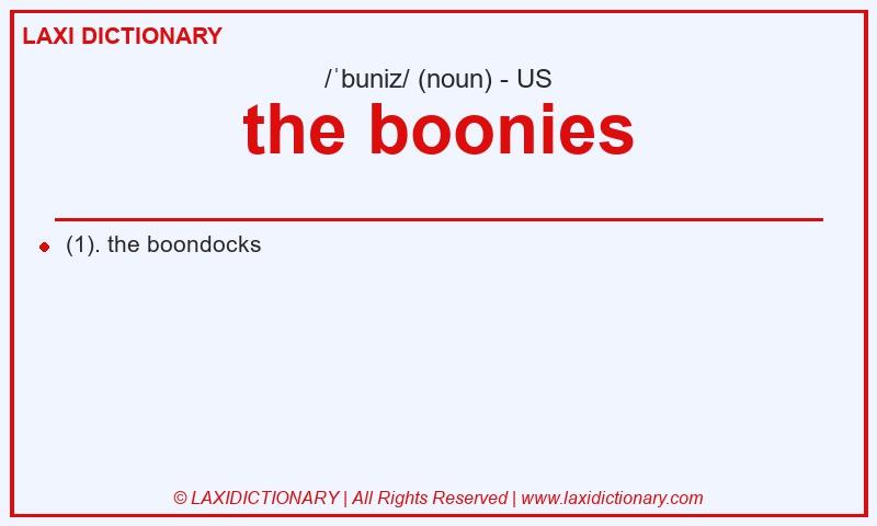 Definition the boonies in American English