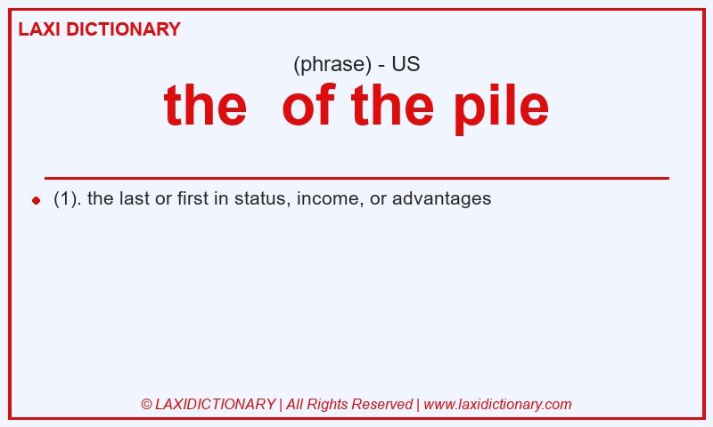 Definition the of the pile in American English