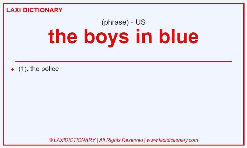 Definition the boys in blue in American English