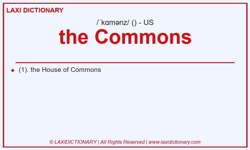 Definition the Commons in American English