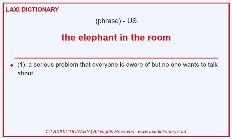 Definition the elephant in the room in American English