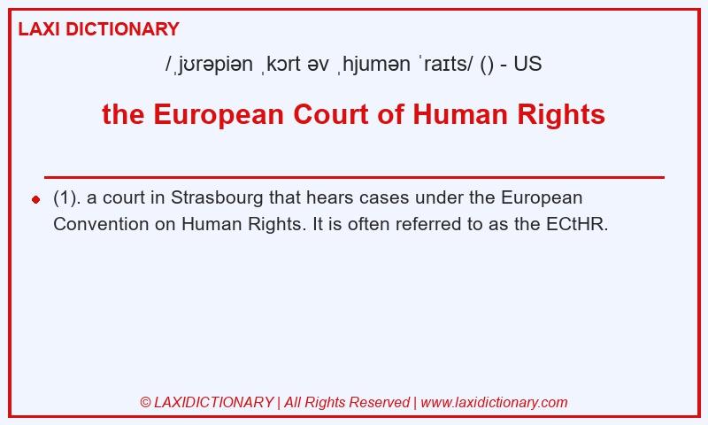 Definition the European Court of Human Rights in American English