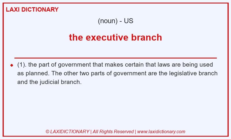 Definition the executive branch in American English