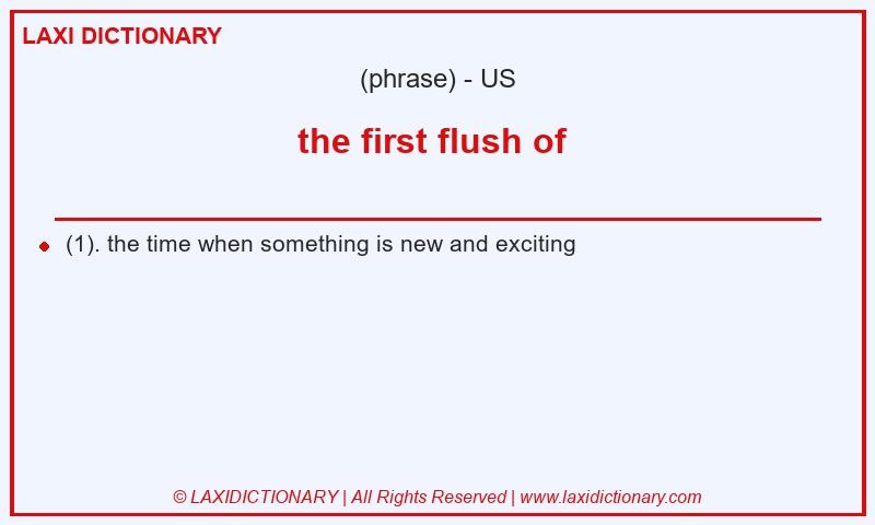 Definition the first flush of in American English