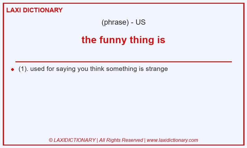 Definition the funny thing is in American English