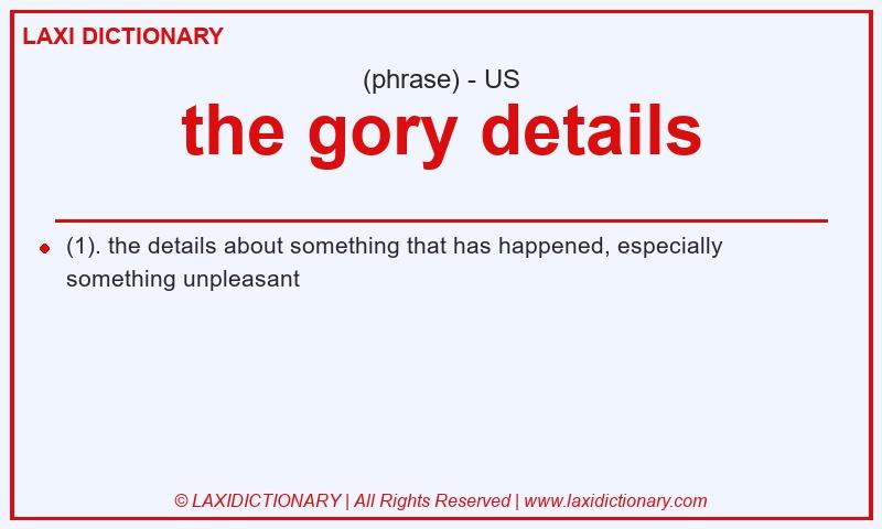 Definition the gory details in American English