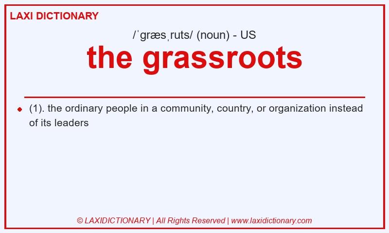 Definition the grassroots in American English