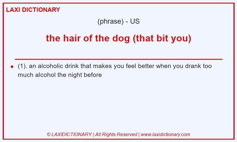 Definition the hair of the dog (that bit you) in American English