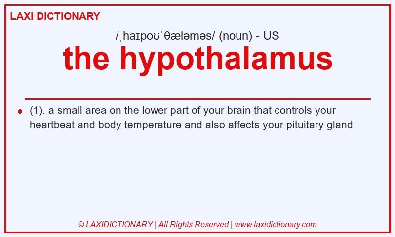 Definition the hypothalamus in American English