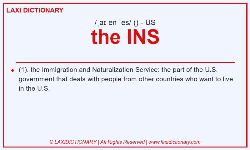 Definition the INS in American English