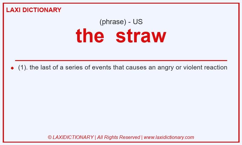 Definition the  straw in American English