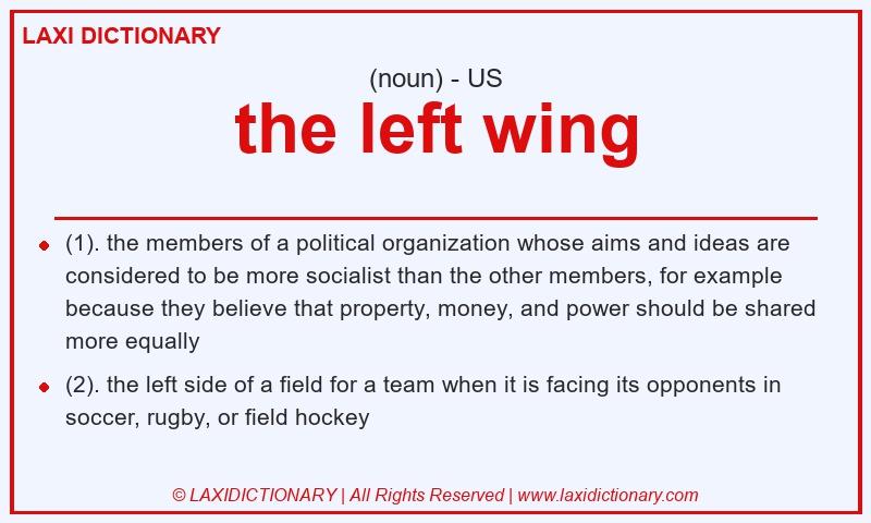 Definition the left wing in American English