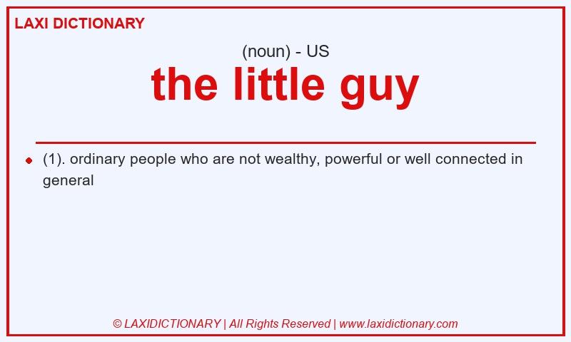 Definition the little guy in American English