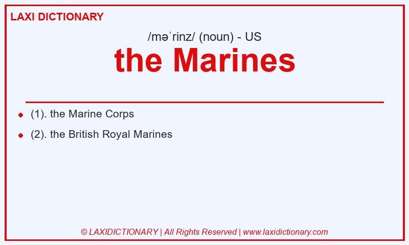 Definition the Marines in American English